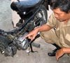 Tak Semua Motor Bisa Awet Pakai Minah Murni