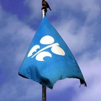 Usulan RI untuk Batasan Harga Minyak Mental di OPEC