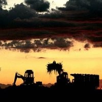 Biofuel Bertanggung Jawab Atas Kemiskinan 30 Juta Orang