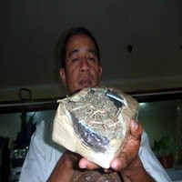 Bawa Ganja Titipan 1 Kg, Heri Digulung