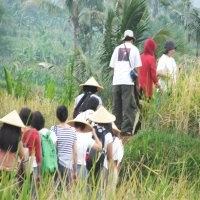 Ramai-Ramai Tea Walk & Turun ke Sawah!