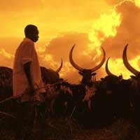 Lahan Dunia Semakin Rusak