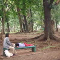 Mall di Bandung Hutang 87 Ribu Meter Persegi RTH