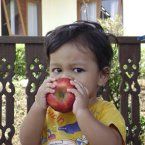 Syauqi Abdurrahman, 2,7 Tahun; Lelaki; m