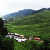 Telkom Siap Hadapi KTP Online 