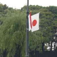 4 Investor Jepang Siap Gelontorkan US$ 30 Juta ke BBK