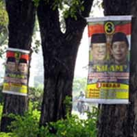 Atribut Cagub yang Dipaku di Pohon Akhirnya Dicopoti