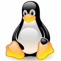 4 Pertimbangan dalam Memilih Linux