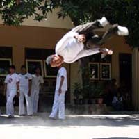 Capoeira, Eskul SMA 1 Surabaya