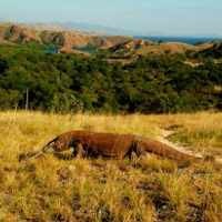 7 Warisan Dunia di Indonesia