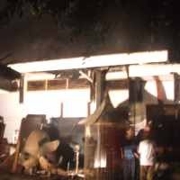 10 Anjing Tewas Saat Rumah Mewah di Menteng Terbakar