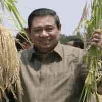 SBY: Indonesia Bisa Jadi Lumbung Beras Internasional