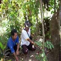 Sejarawan Belanda Teliti Makam Tan Malaka di Kediri