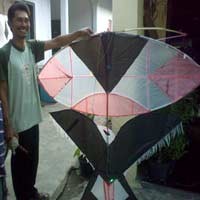 Misteri UFO di Juanda Terungkap