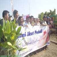 Jaga Ekosistem, Pemkot Surabaya Tanam 15 Ribu Mangrove