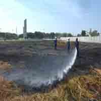 Alang-alang Terbakar, Warga Panik