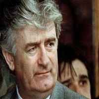 Karadzic Dibawa ke Den Haag