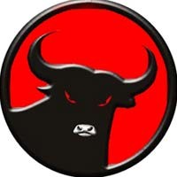 Survei IRDI: PDIP, Partai Pemenang Pemilu 2009