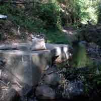 Bendoarum Terancam Kekurangan Pasokan Air 