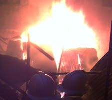 Jago Merah Melalap Rumah