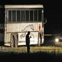 Horor di Bus, Pria Tikam dan Penggal Kepala Penumpang!