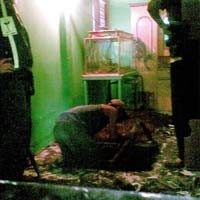 Ubin Berlapis Dua di Kamar Ryan Dibongkar