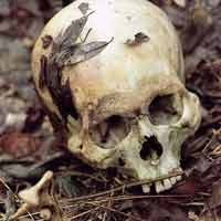 Ini Dia 11 Dakwaan Terhadap Karadzic