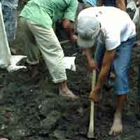 Polisi Gali Lubang di Depan Kandang Ayam 