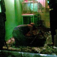 Ubin Berlapis Dua, Polisi Kembali Curigai Kamar Ryan