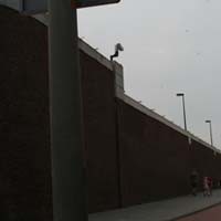 Di Sini Karadzic Ditahan