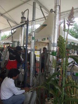 Aren, Alternatif Lain Untuk Bahan Bakar 