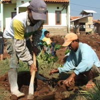 Rame-rame Tanam Pohon
