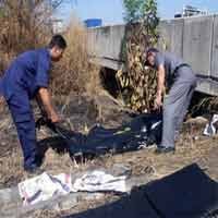 Mayat Tanpa Identitas Ditemukan di KM 2.400 Tol Gresik-Surabaya