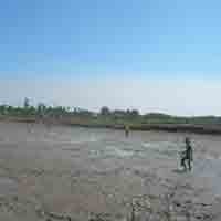 Tambak Ikan Kekeringan, Warga Bangkalan Beralih Profesi