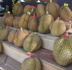 Buah Berduri Yang Digemari 