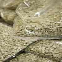 Wah! 15 Juta Pil Ekstasi Disita Australia