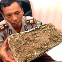 Dua Bandar Ganja Jaringan Aceh Diciduk 