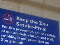 Apa yang Terjadi Jika Fatwa Rokok Haram Dirilis MUI?