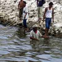 Diduga Tercemar Limbah, Ratusan Ikan di Bendungan Sutami Mati