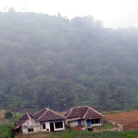 Taman Hutan Rakyat di Gunung Arjuno Rawan Kebakaran