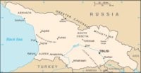 Tawarkan Damai, Rusia Tak Akan Dialog dengan Saakashvili