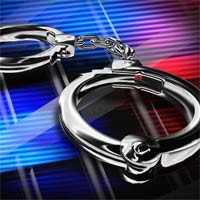 Polisi Ciduk Pengelola Jaringan Botnet