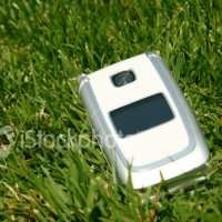 Polusi Udara Berkurang Berkat Ponsel Jagung