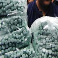 Ektasi Mercure Terkait Jaringan Taman Anggrek dan Kelapa Gading?