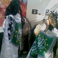 2 Ekor Domba Ramaikan Pendaftaran Caleg di KPU