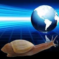 Amerika Resah, Internetnya Bak Keong