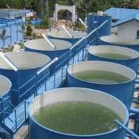 Hanya 25% PDAM yang Sehat