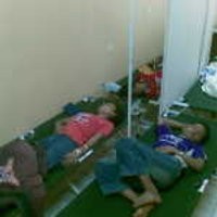 Kadinkes: Bakteri Penyebab Keracunan Tak Terlalu Berbahaya