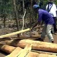 Dikepung Puluhan Polisi, Pembalak Kayu Jati Menghilang