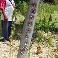 Misteri Sumur Tua Blok Mandala 1 